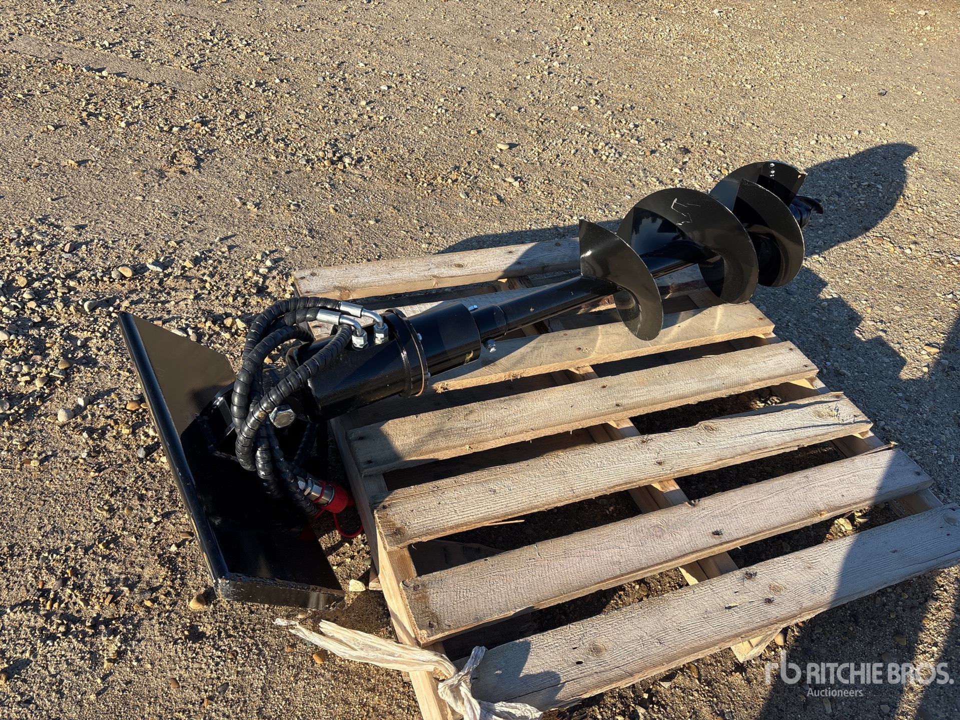 General Appearance with Image, coin arrière droit