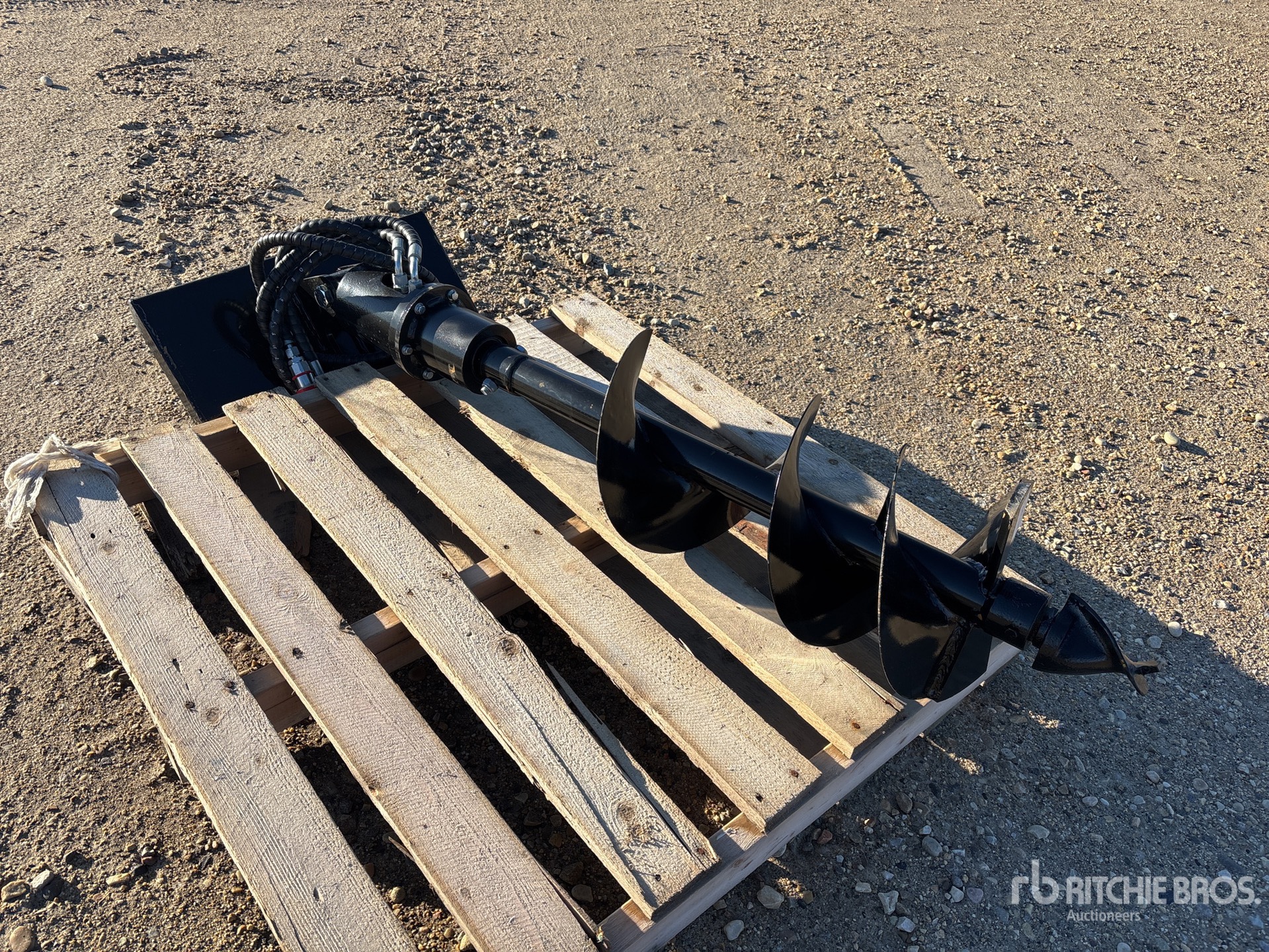 General Appearance with Image, coin avant droit