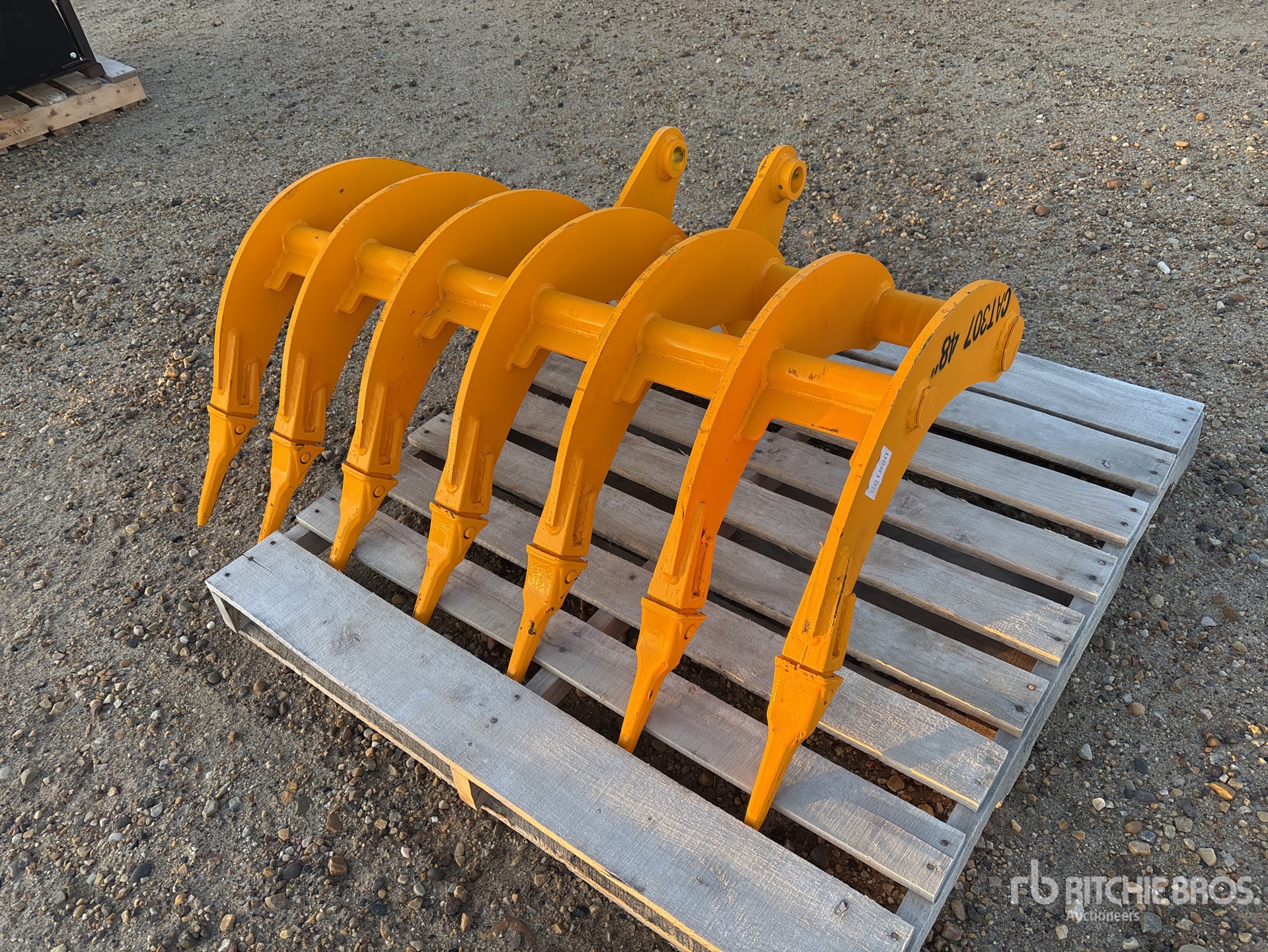 General Appearance with Foto, angolo anteriore sinistro