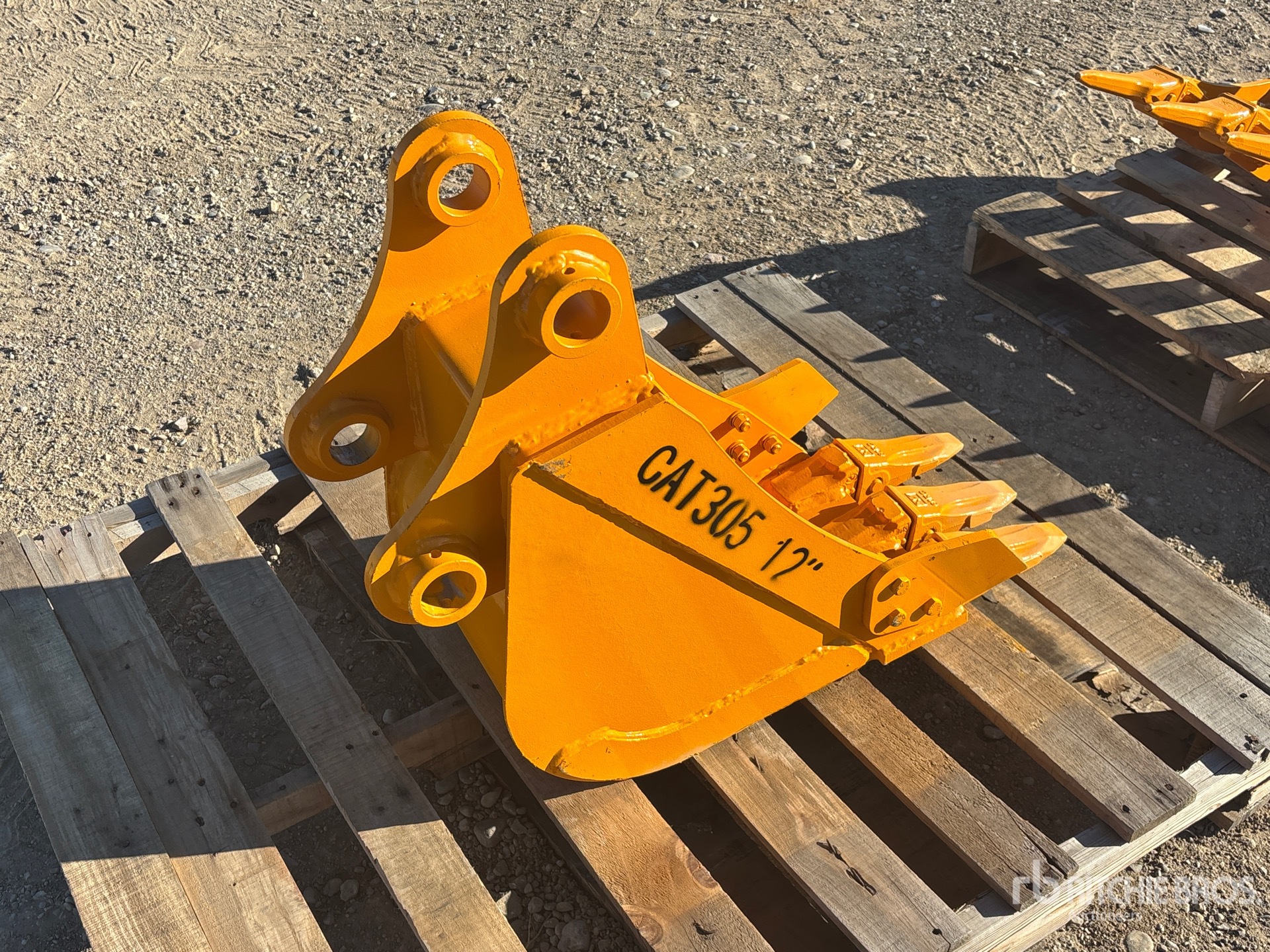 General Appearance with Image, coin arrière droit