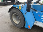 General Appearance with Paint