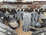 Underbody with 
