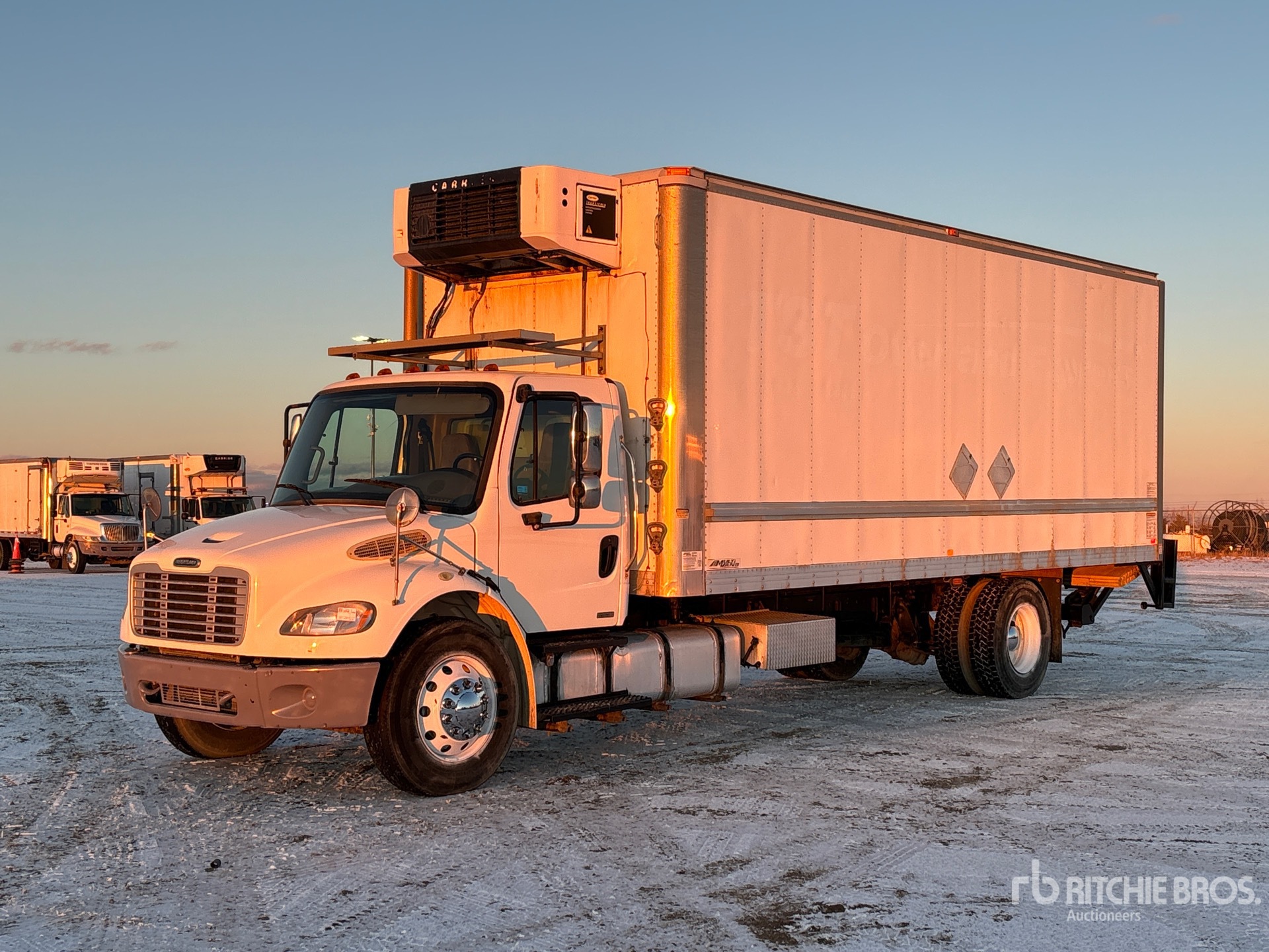 General Appearance with Spin