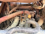 Moteur with 