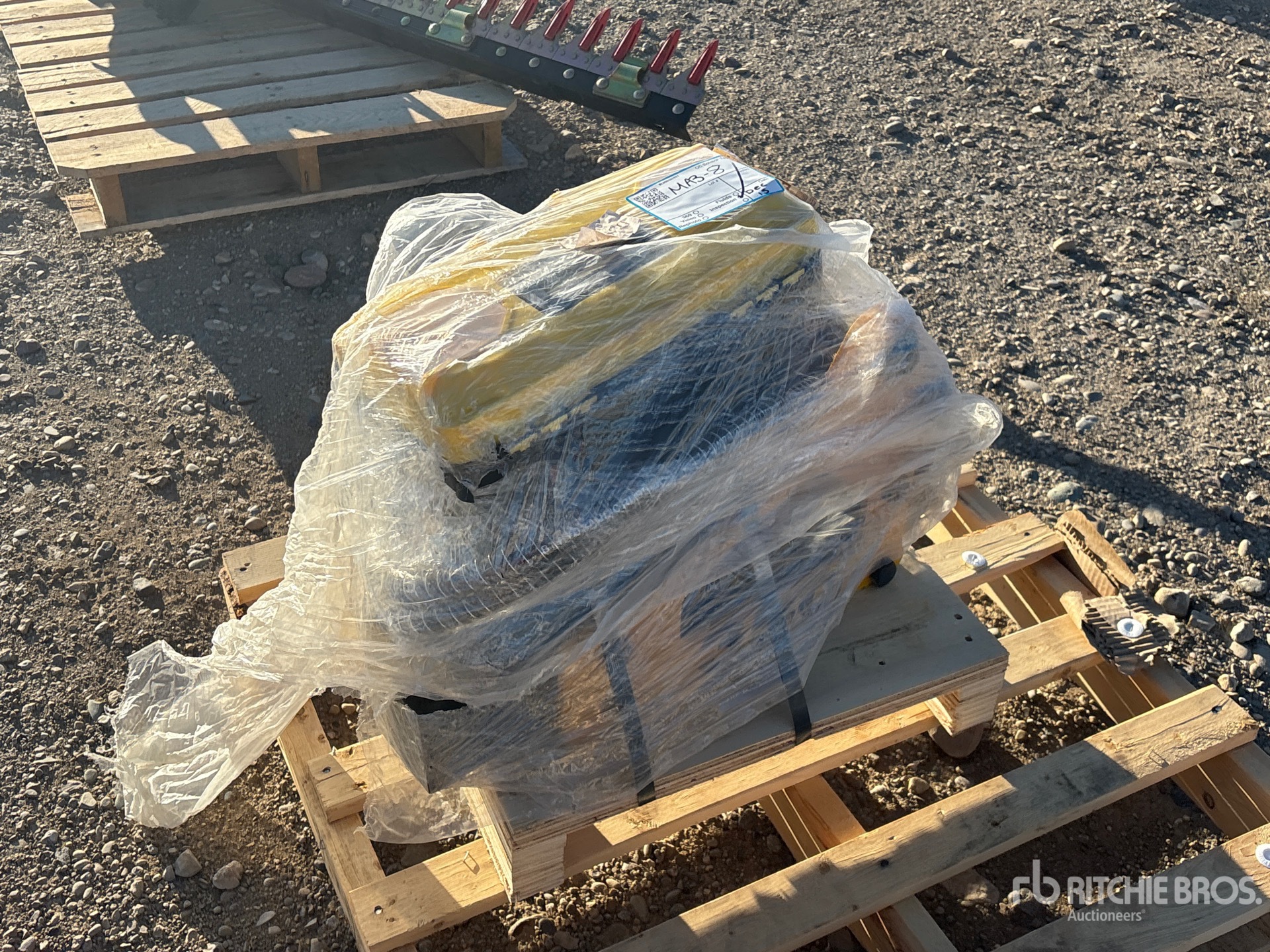 General Appearance with Zdjęcie, prawy dolny róg