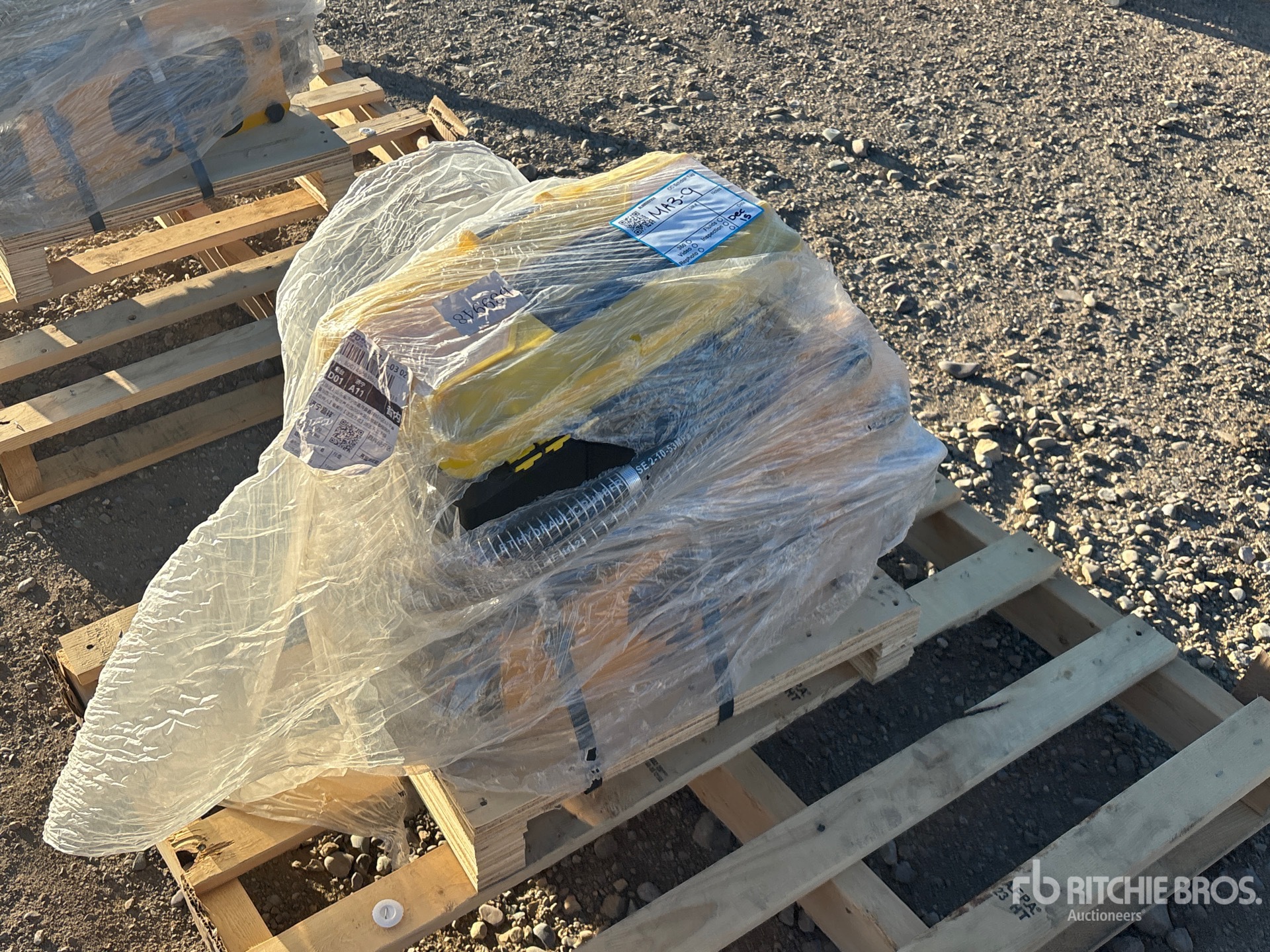 General Appearance with Zdjęcie, prawy dolny róg