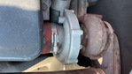 Engine with Exhaust System