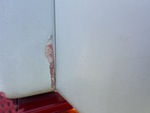 General Appearance with Paint