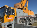 General Appearance with Paint