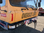 General Appearance with Paint