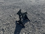 General Appearance with Featured Photo
