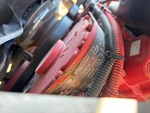 Motor with 
