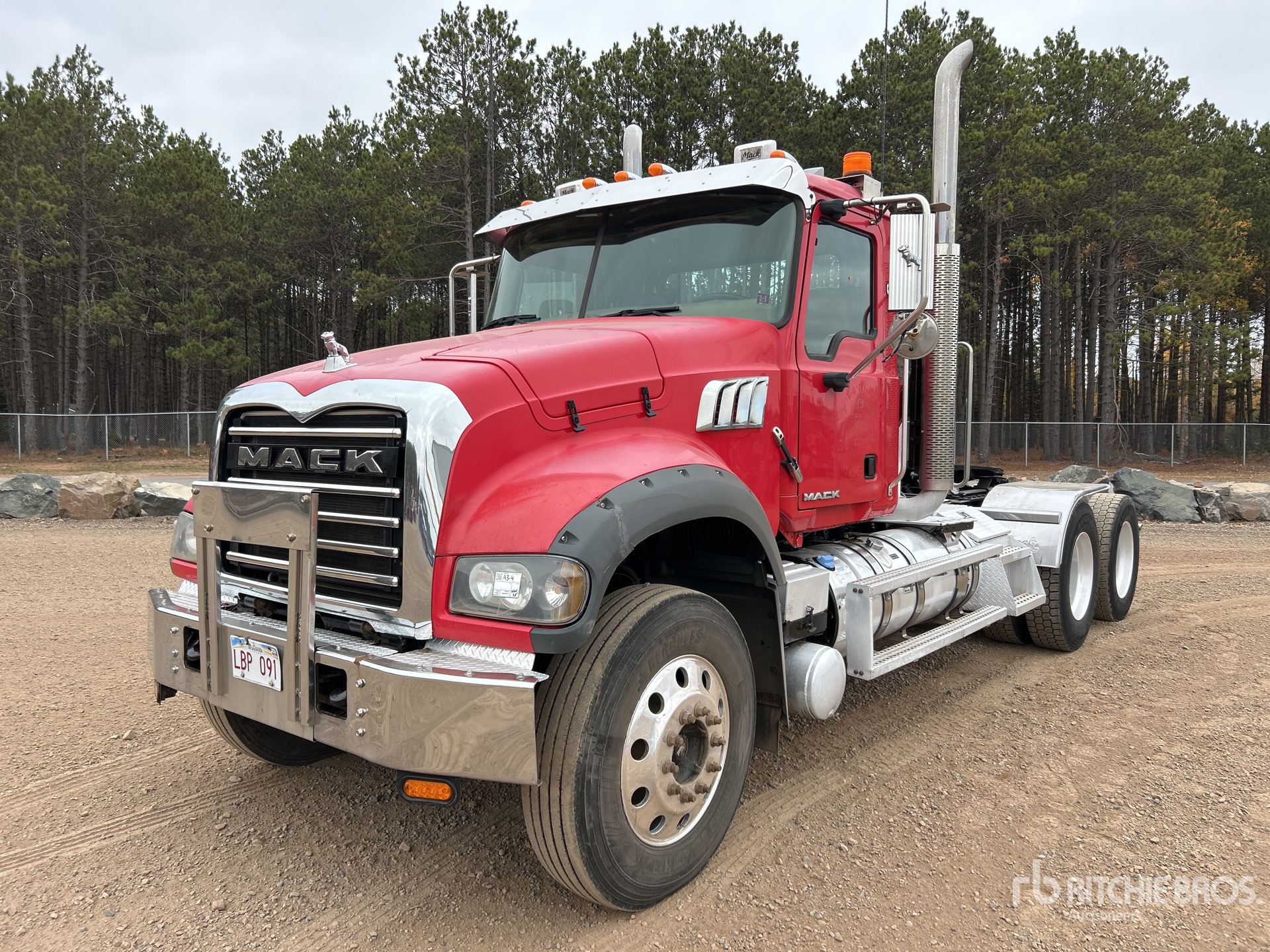 General Appearance with Spin