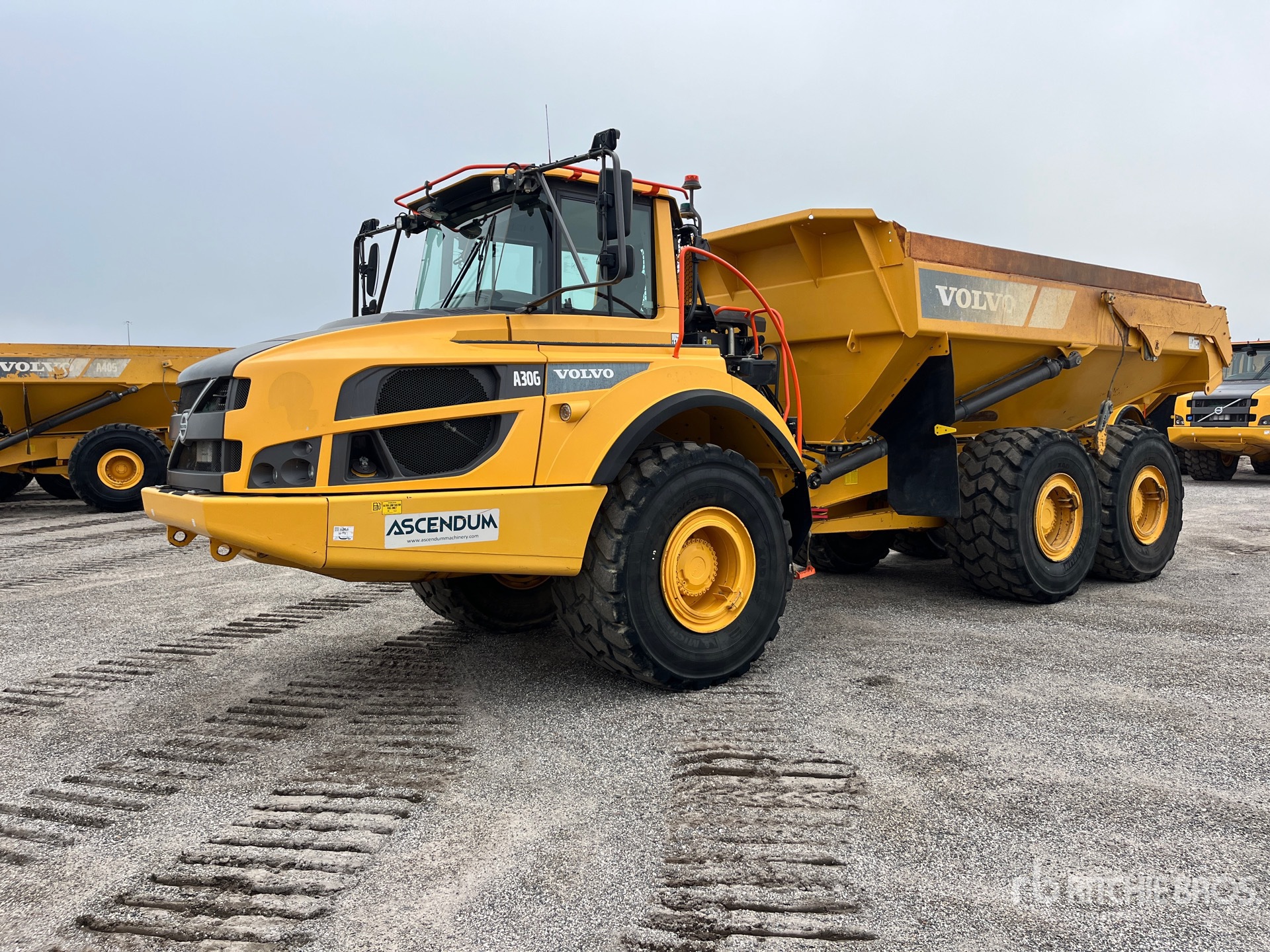 General Appearance with Spin