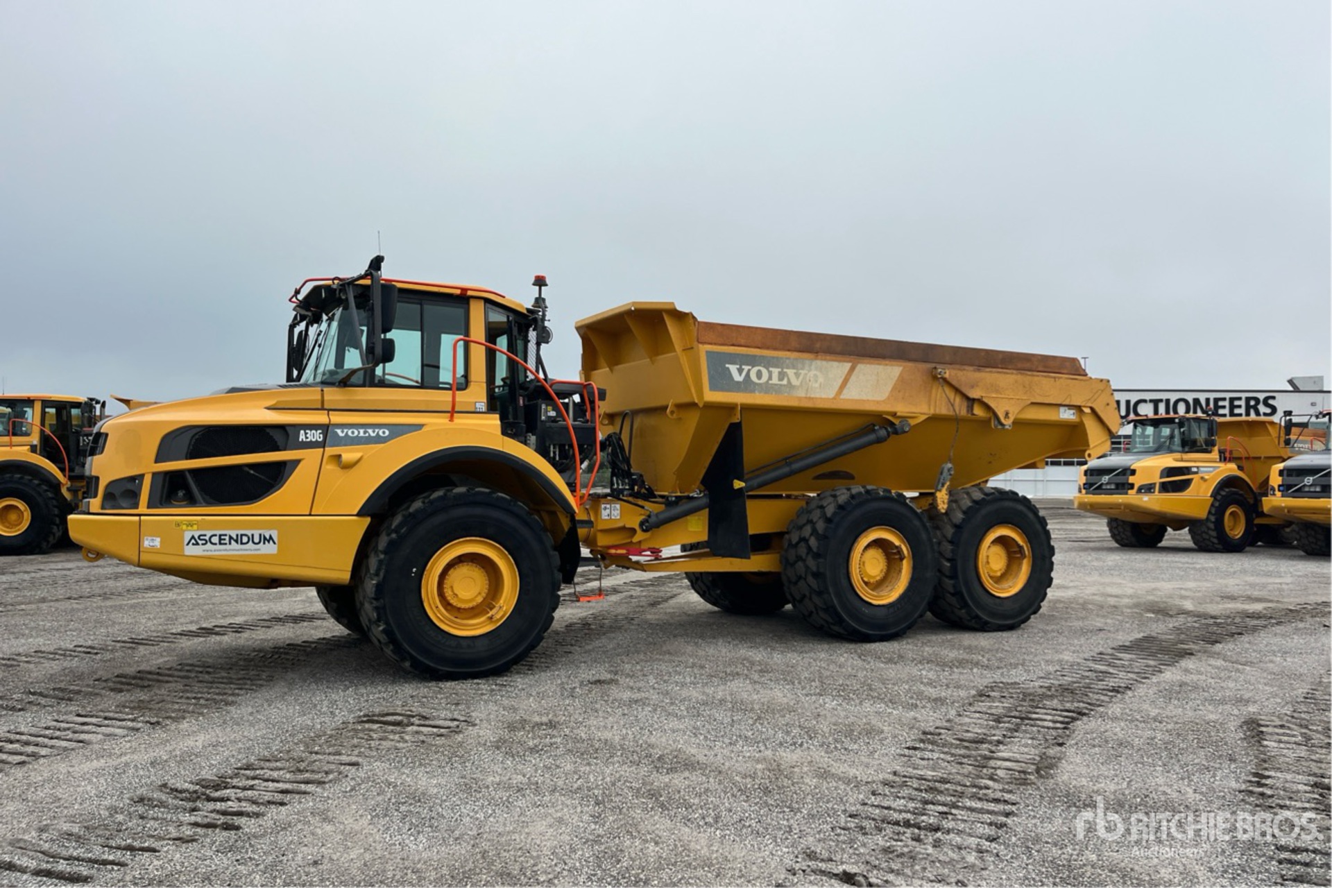 General Appearance with Bild, Ecke vorne links