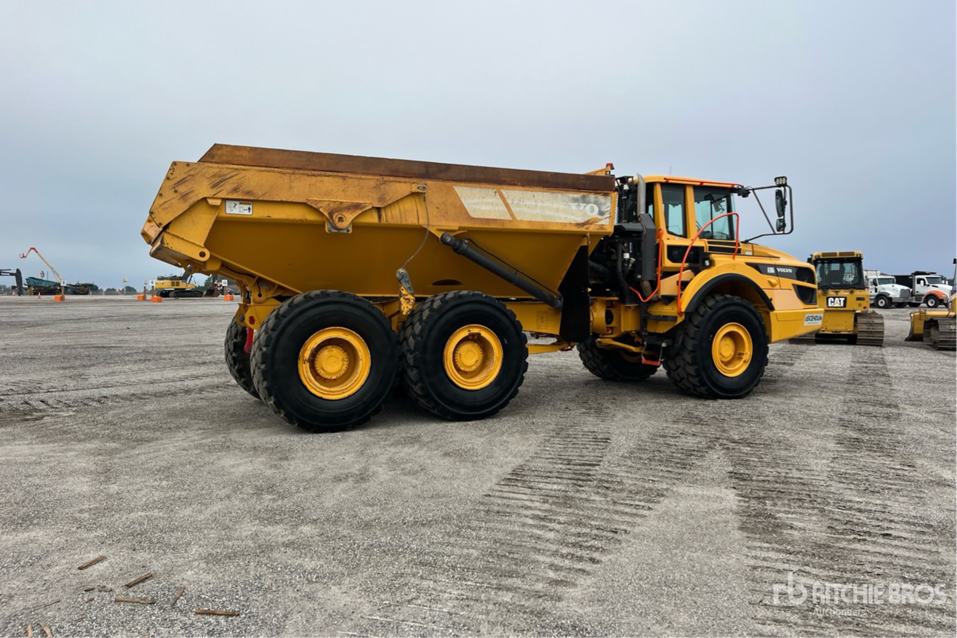 General Appearance with Bild, Ecke hinten rechts