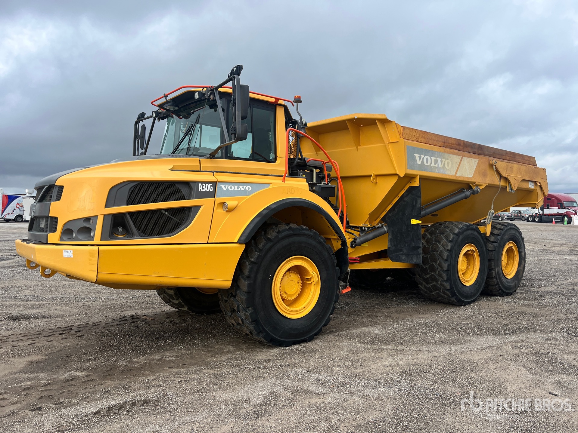 General Appearance with Spin