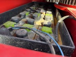 Electrical with 