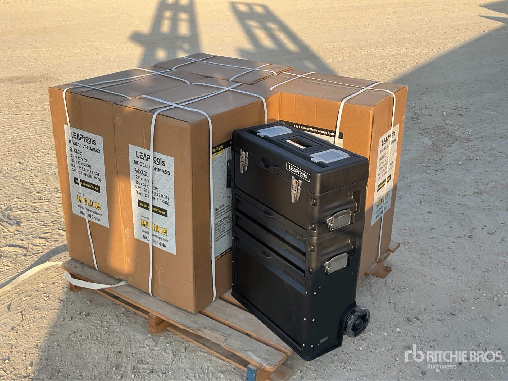 General Appearance with Picture, Left Front Corner