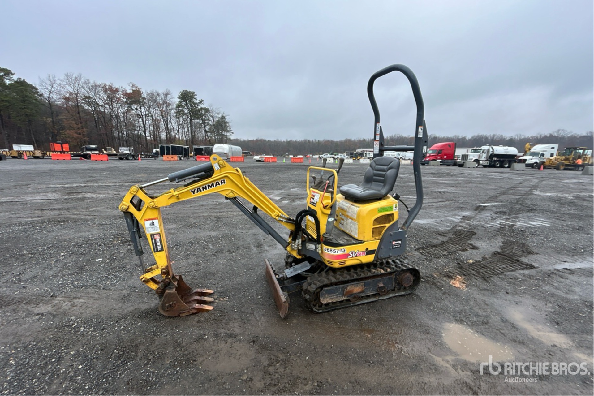 General Appearance with Spin