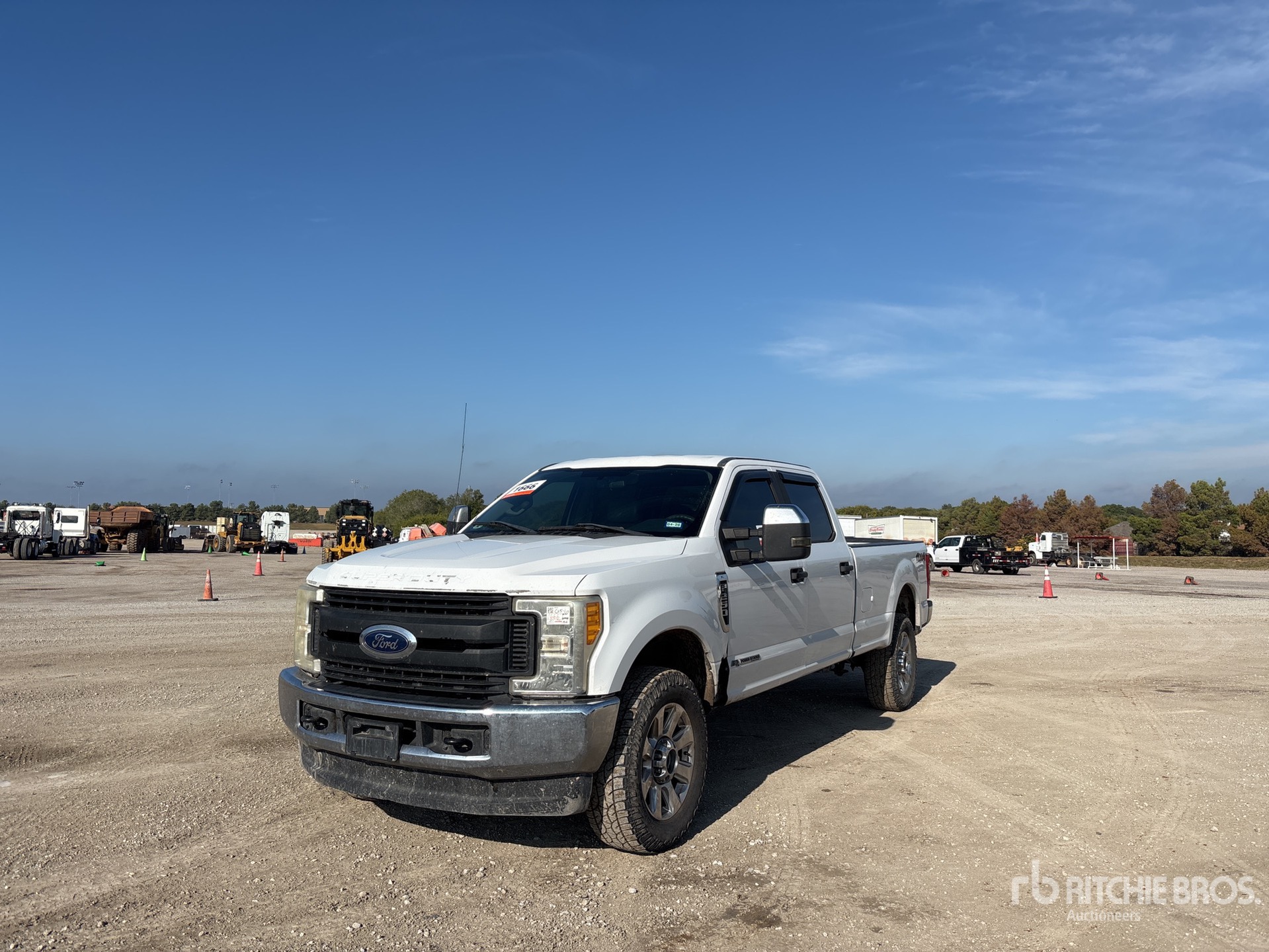 General Appearance with Spin