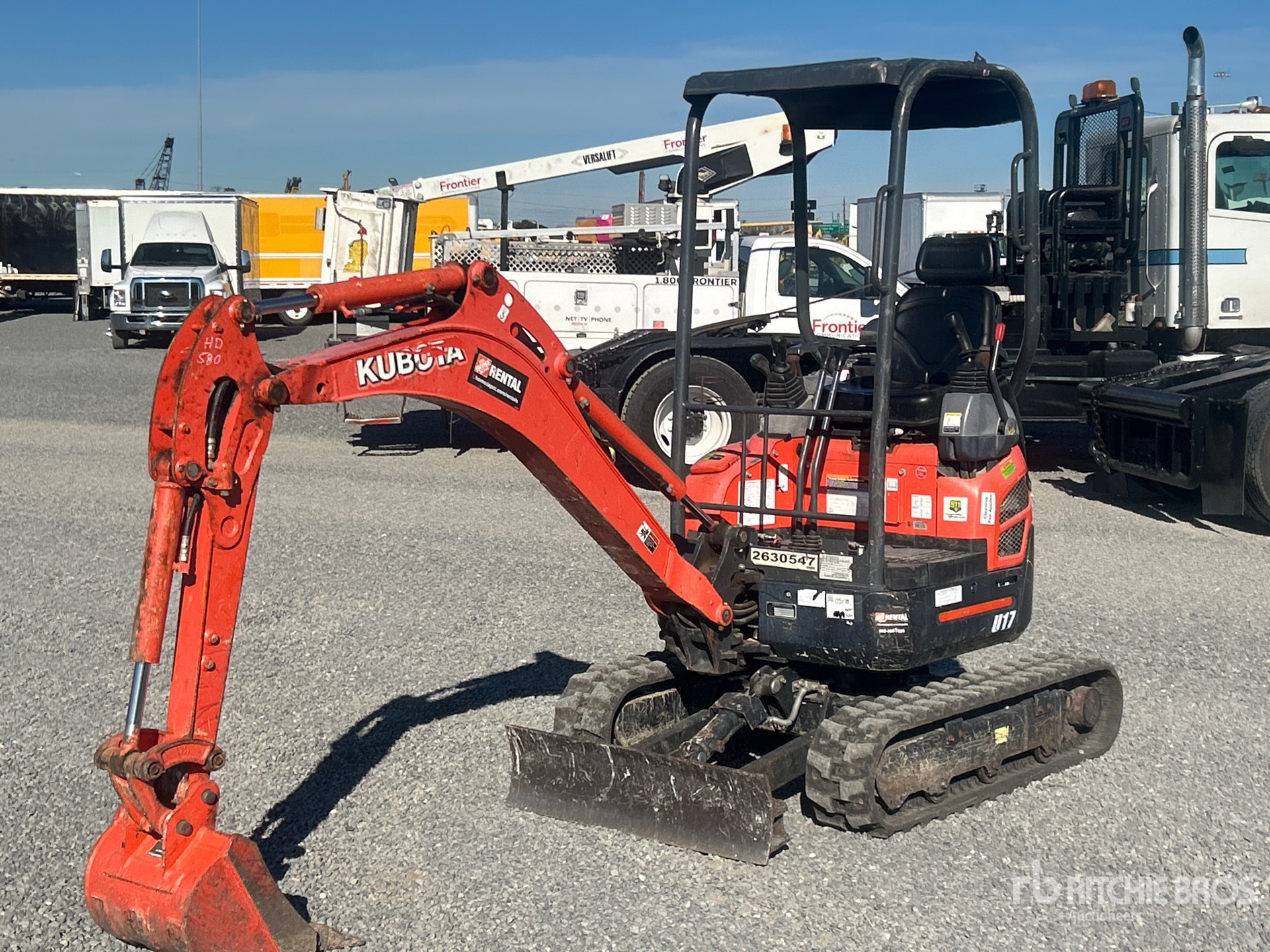 General Appearance with Spin