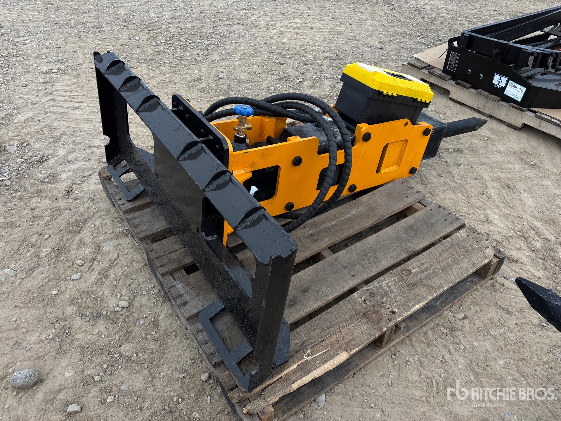 General Appearance with Image, coin arrière droit