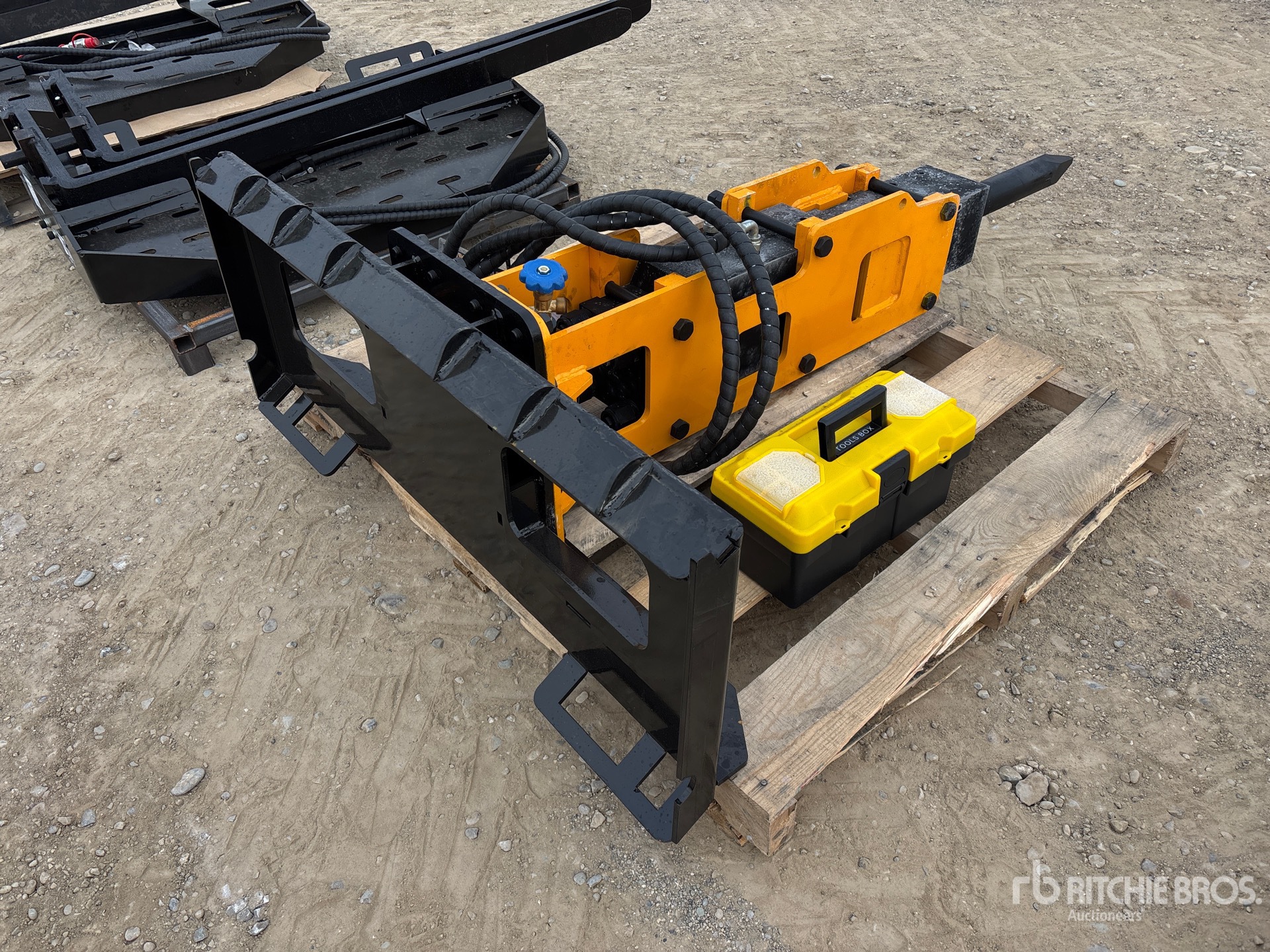 General Appearance with Image, coin arrière droit