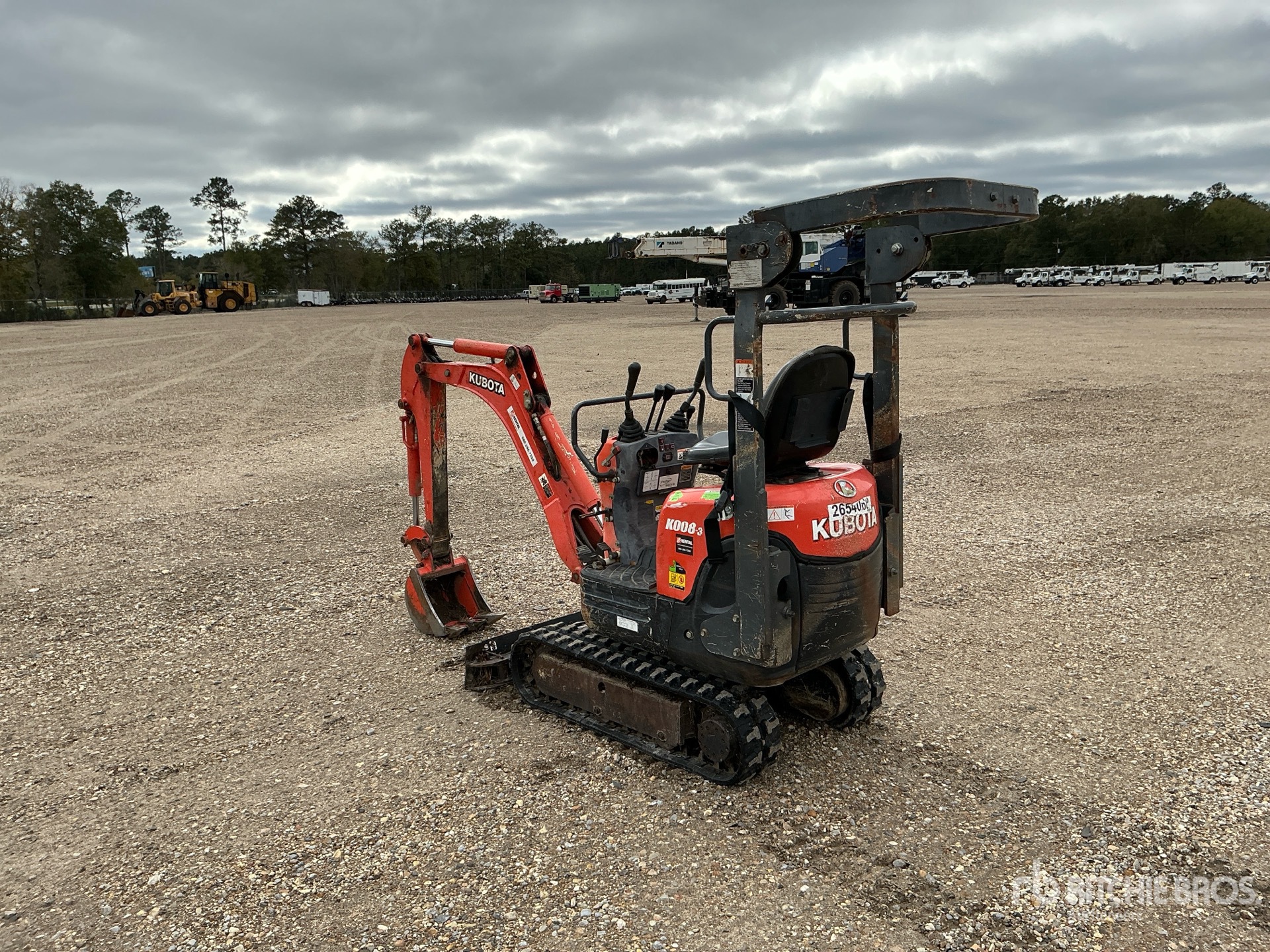 General Appearance with Zdjęcie, lewy dolny róg