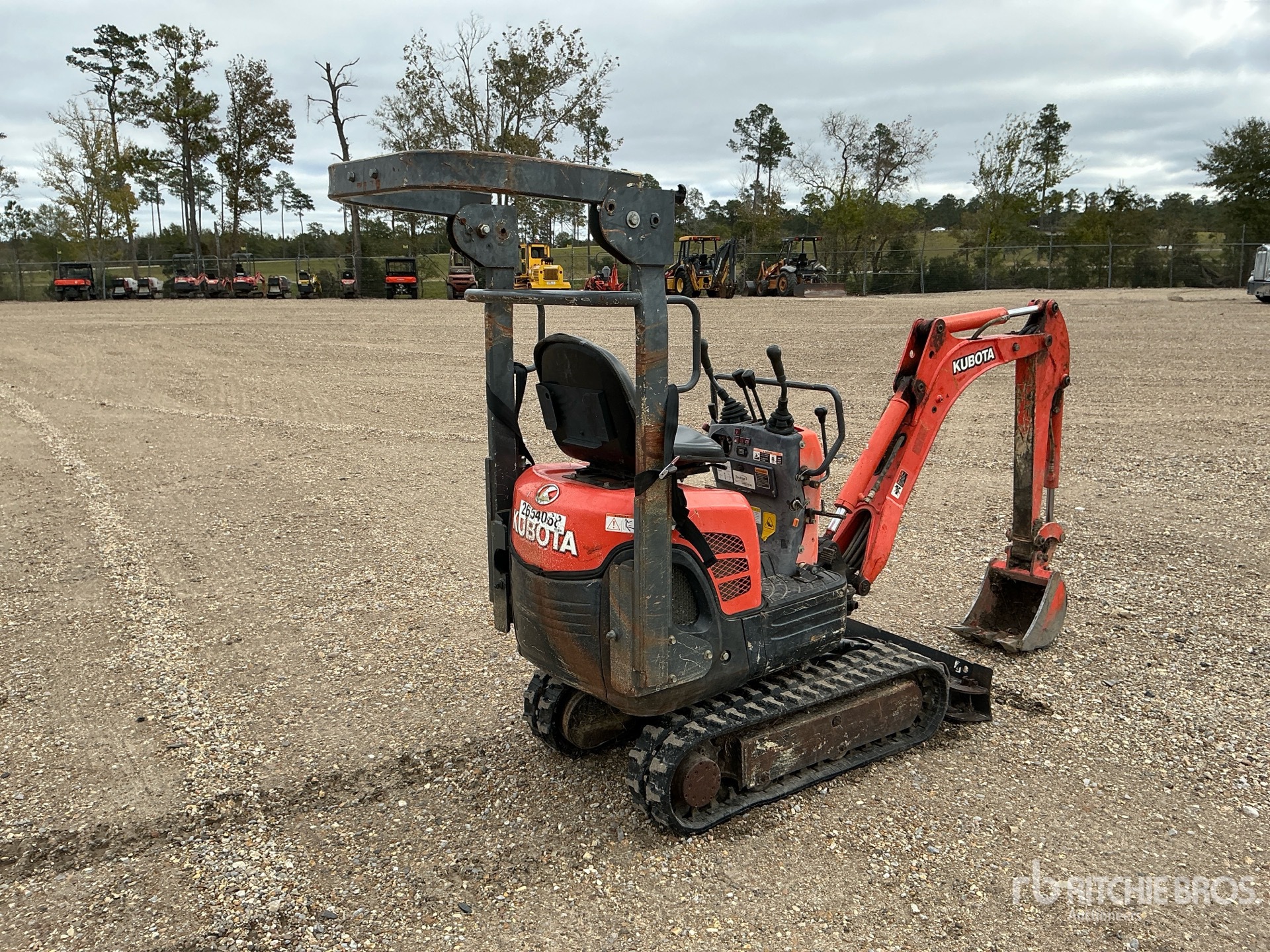 General Appearance with Zdjęcie, prawy dolny róg