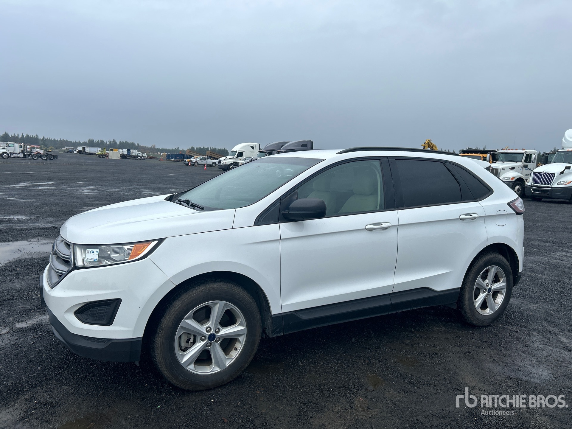 General Appearance with Spin