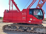 General Appearance with Paint