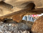 Undercarriage with 