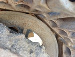 Undercarriage with Right Idler
