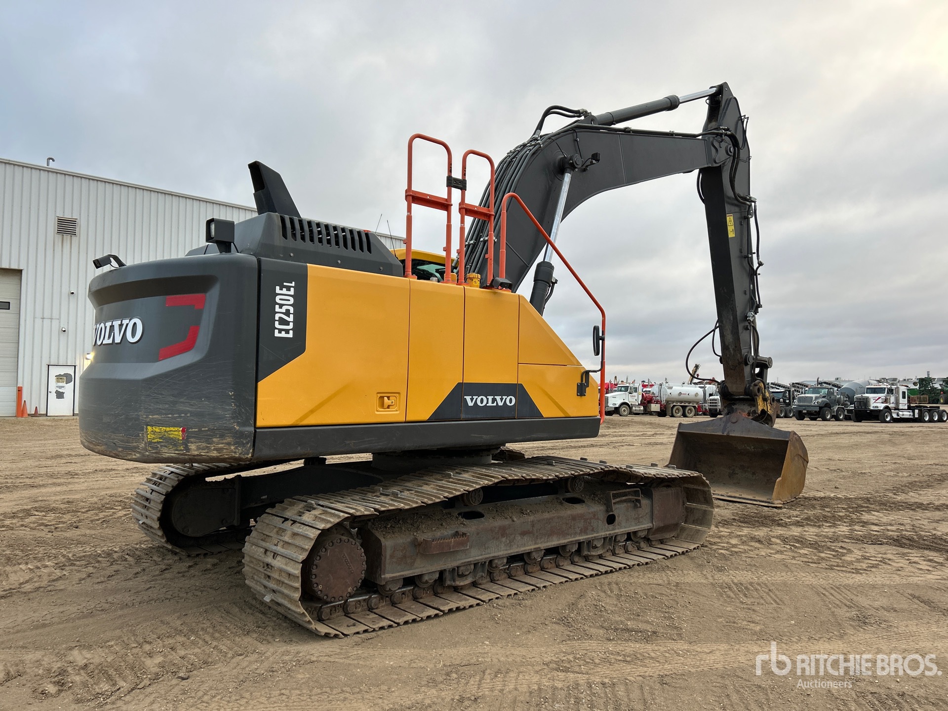 General Appearance with Image, coin arrière droit