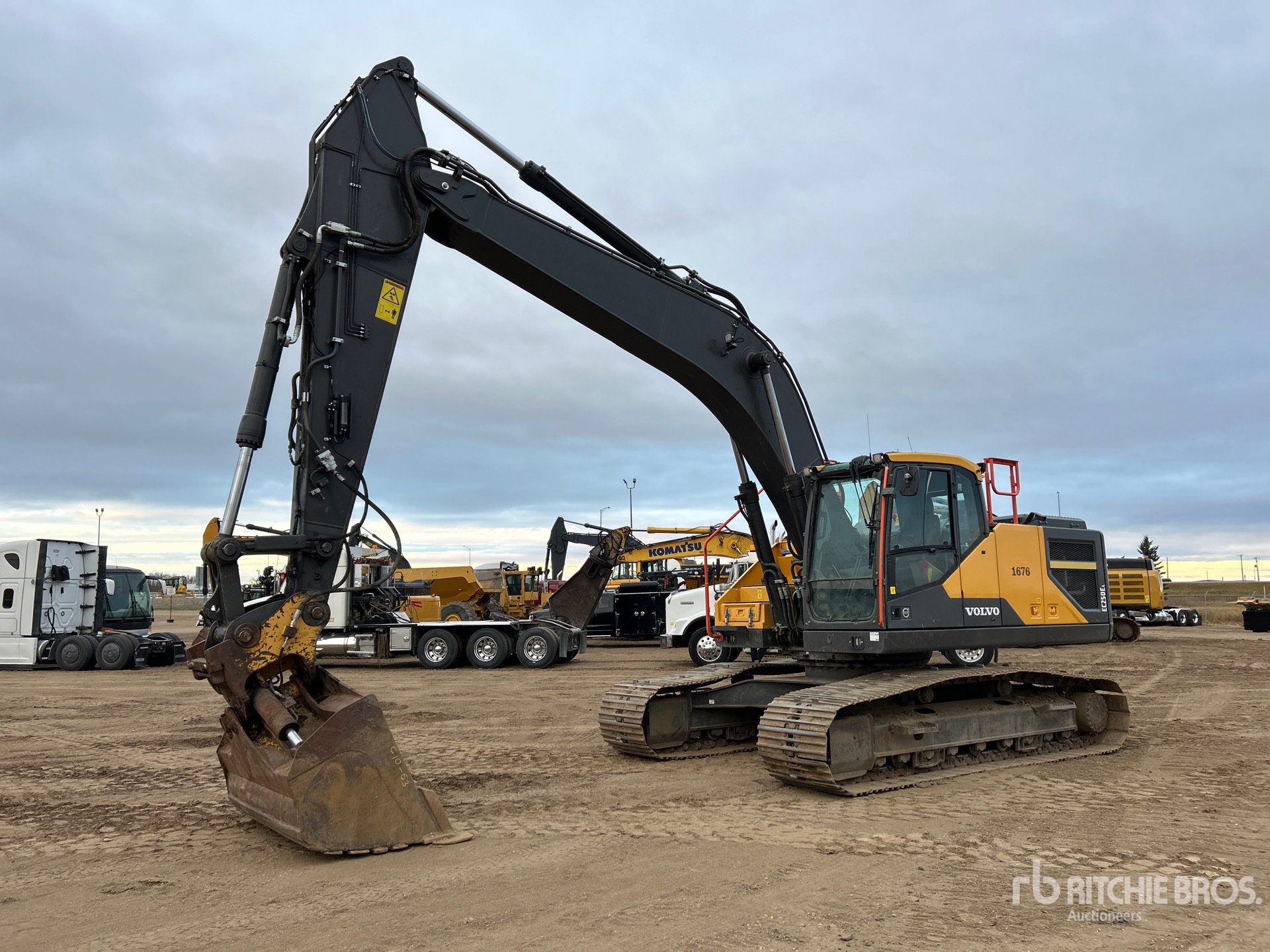 General Appearance with Spin