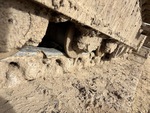 Undercarriage with 