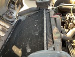 Engine with Radiator