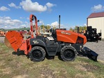 General Appearance with Paint
