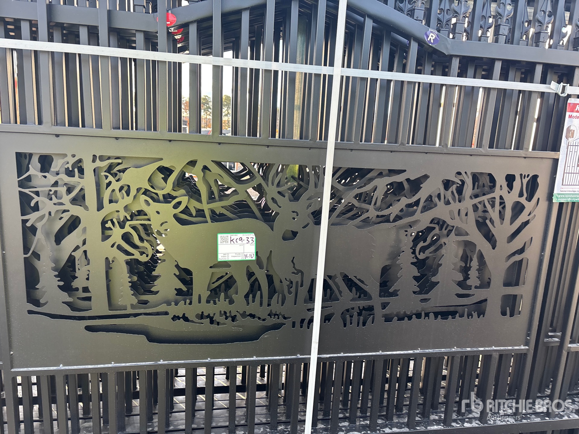 General Appearance with 