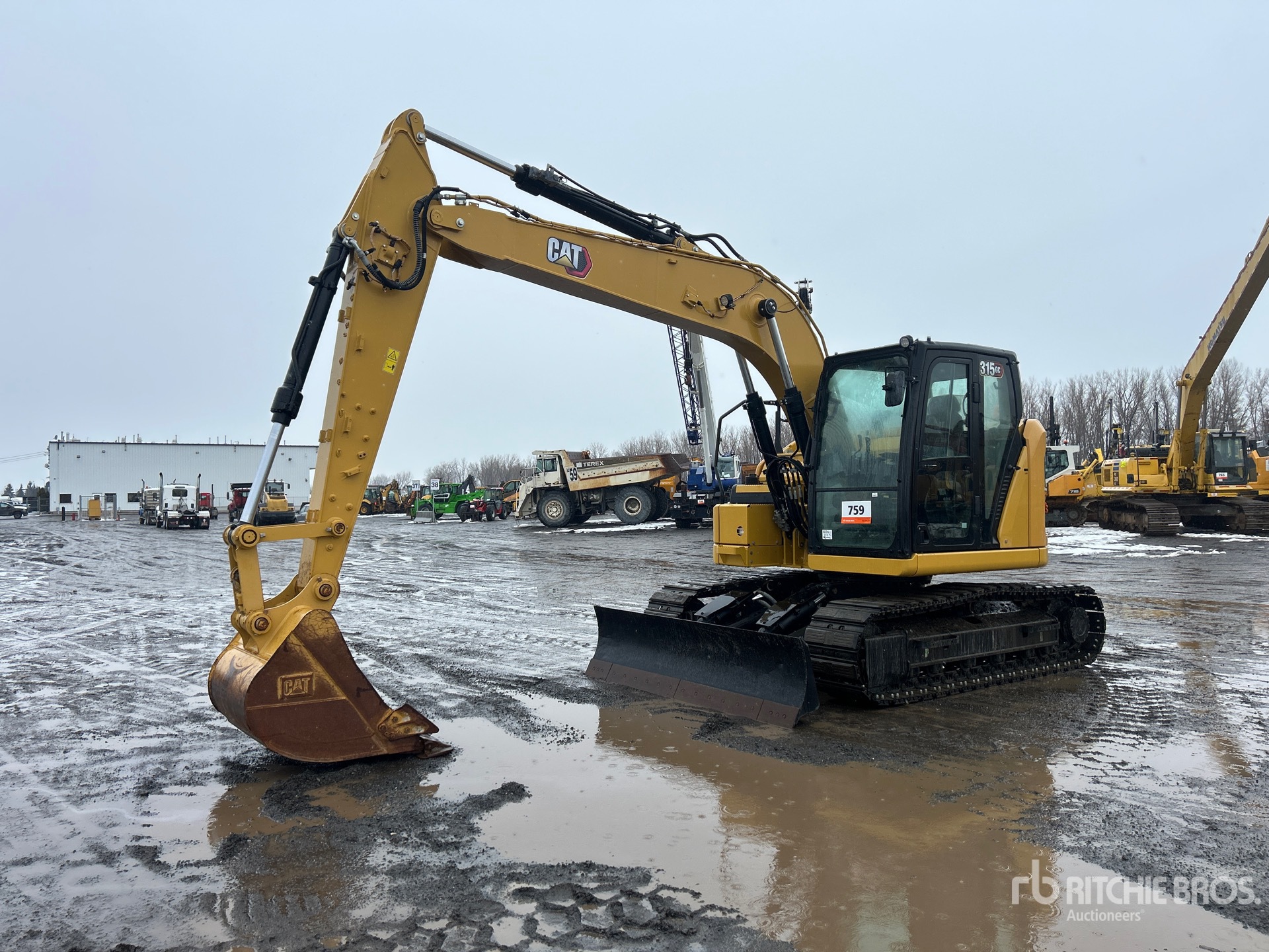 General Appearance with Spin