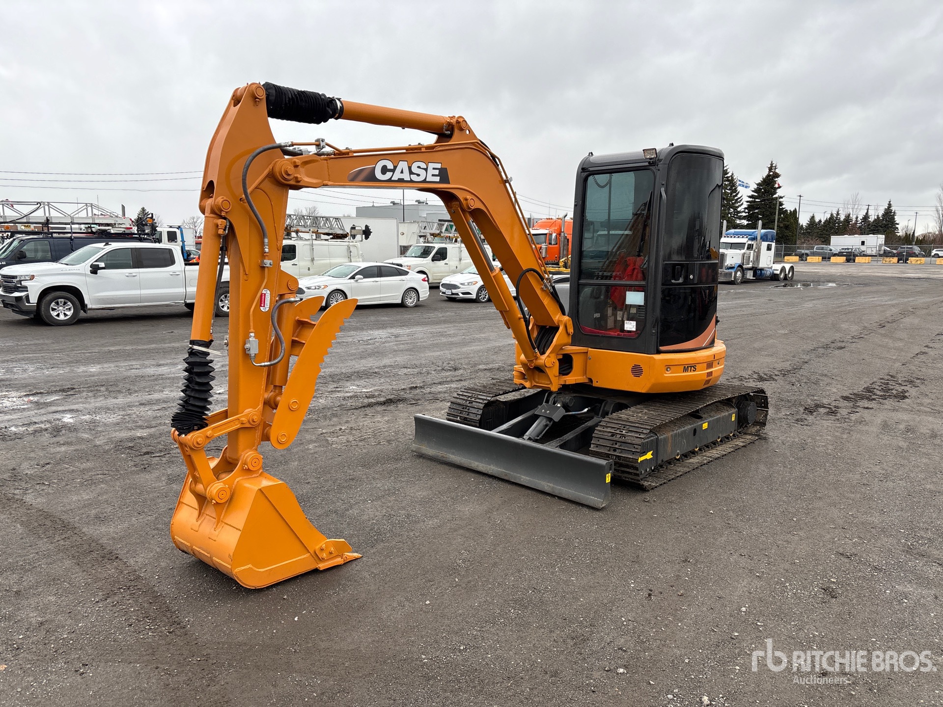 General Appearance with Spin