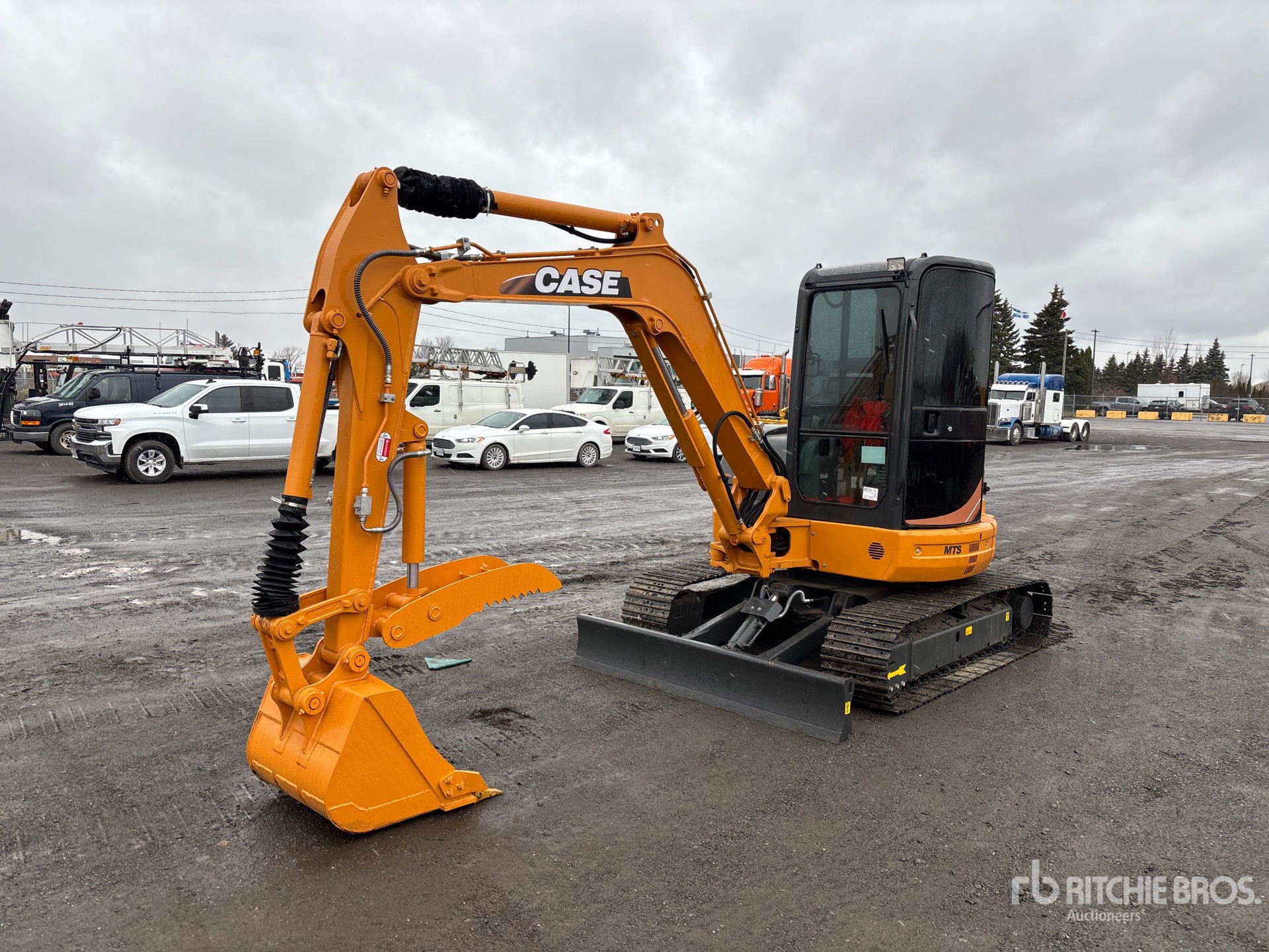 General Appearance with Spin