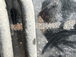 General Appearance with Second Serial Number/VIN Photo