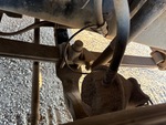 4 Underbody - Truck with 