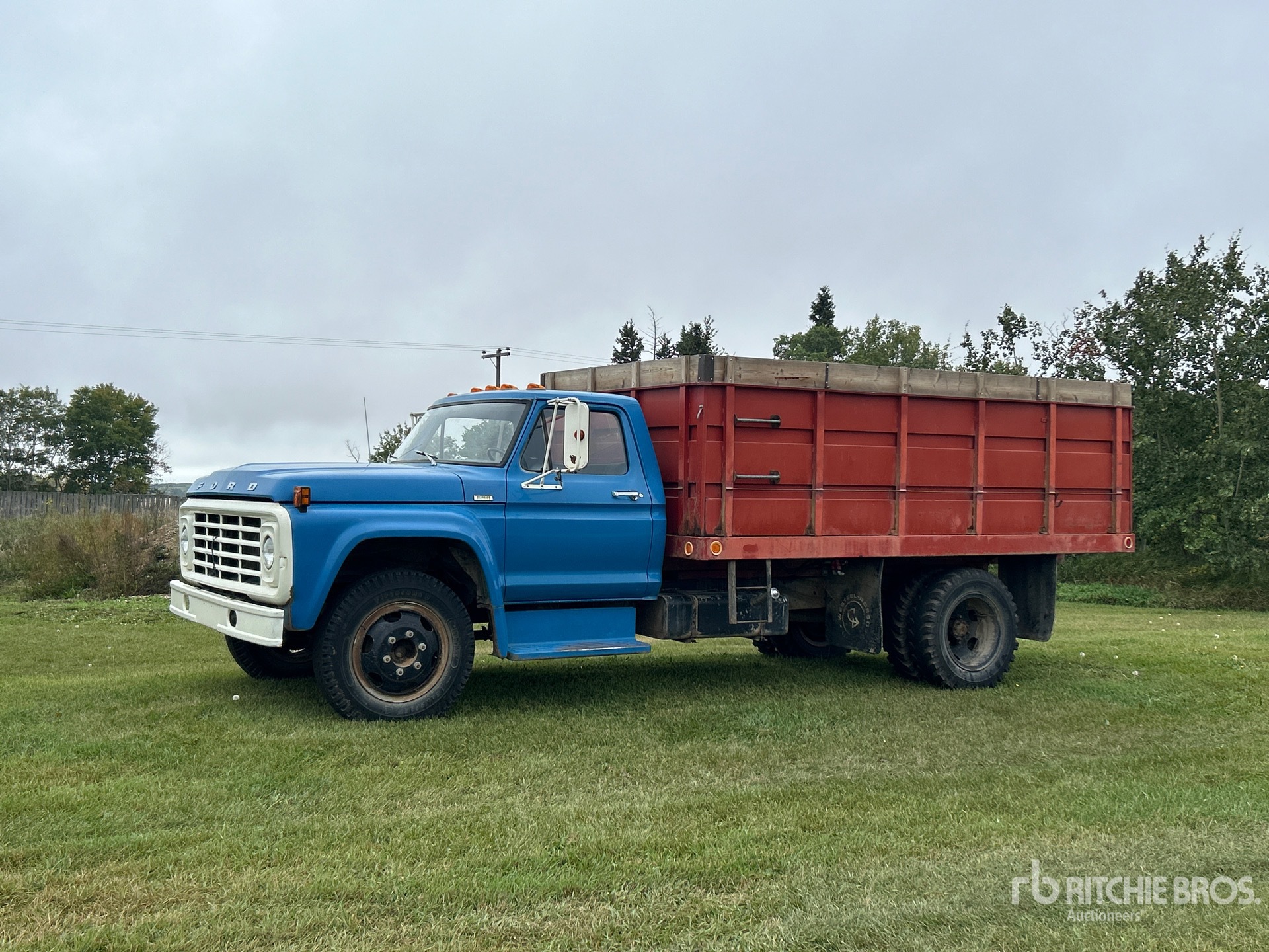 General Appearance with Spin