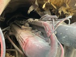 Motor with 