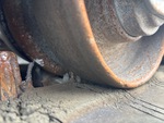 Undercarriage with 