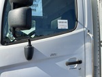 General Appearance with Paint