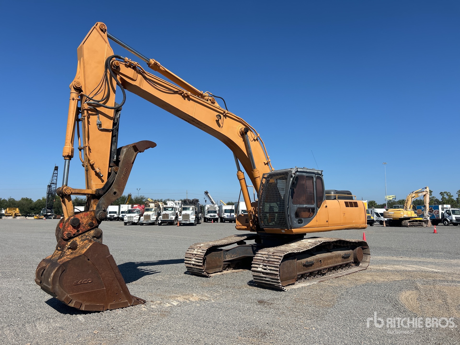 General Appearance with Spin